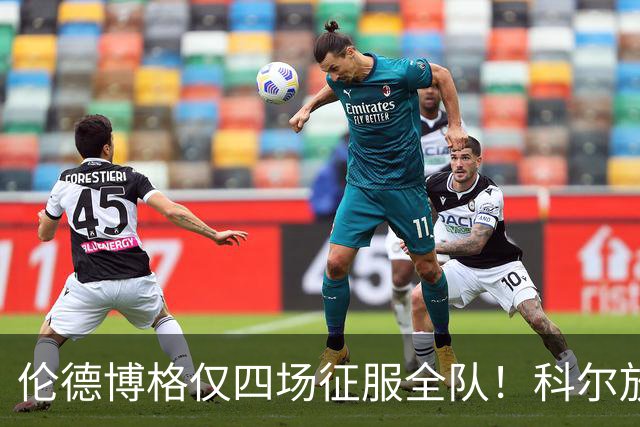 伦德博格仅四场征服全队！科尔放权直指上限，库里大赞全能充满欣赏