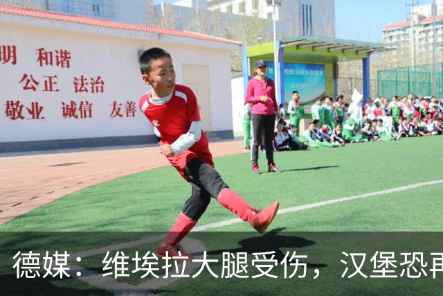 德媒：维埃拉大腿受伤，汉堡恐再失一名核心球员