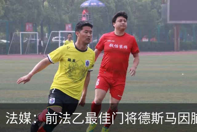 法媒：前法乙最佳门将德斯马因脑震荡后遗症宣布退役