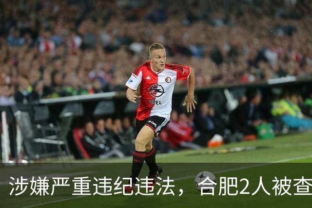 涉嫌严重违纪违法，合肥2人被查！