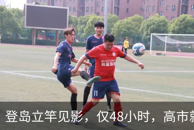 登岛立竿见影，仅48小时，高市就开始报复，中国一句话让日本破防