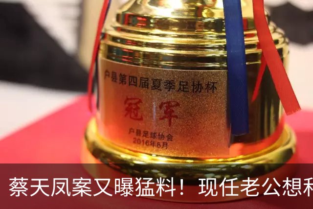 蔡天凤案又曝猛料！现任老公想和前夫发生关系，并承认500万输光