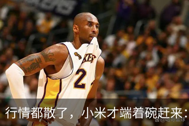 行情都散了，小米才端着碗赶来：单靠复制这条路能走多远？