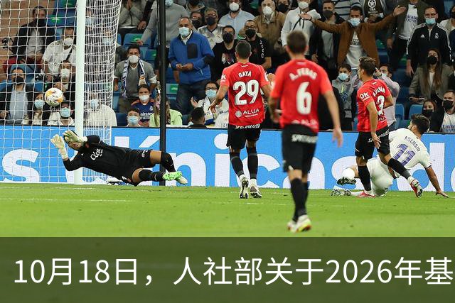 10月18日，人社部关于2026年基本养老金调整通知公布了吗？